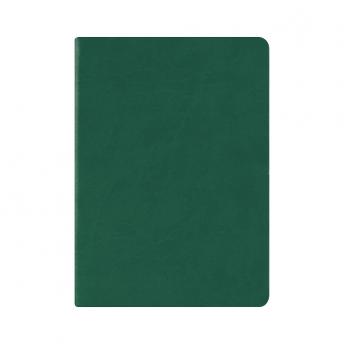 Ежедневник New Brand недатированный 15 x 21 см - Зеленый FF