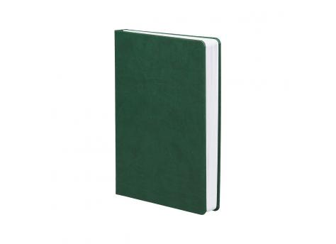 Ежедневник Basis датированный 15 x 21 см - Зеленый FF