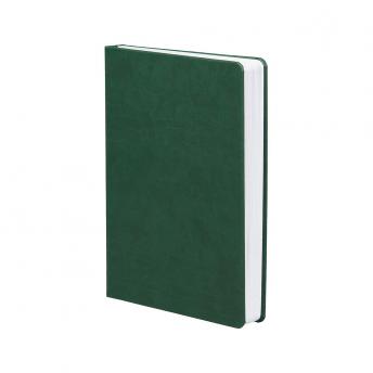 Ежедневник Basis датированный 15 x 21 см - Зеленый FF