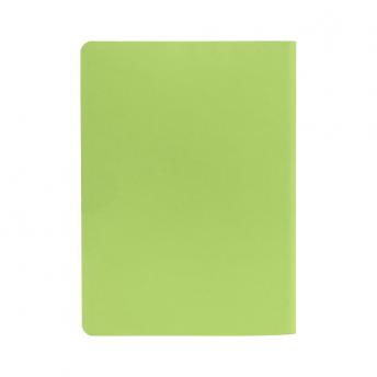Ежедневник Flex Shall датированный 15 x 21 см - Светло-зеленый YY