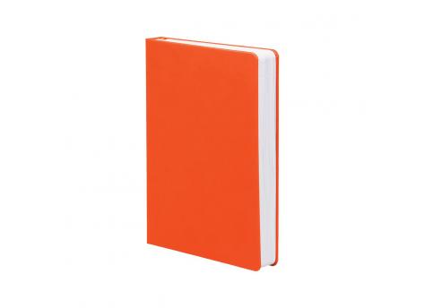 Ежедневник Basis датированный 15 x 21 см - Оранжевый OO
