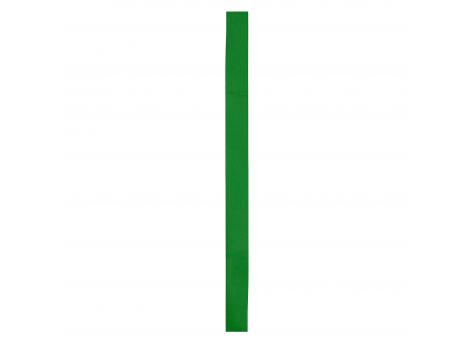 Лента для шляпы COMET, ПАПОРОТНИКОВЫЙ