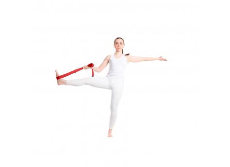 Ремень для йоги Virabha из RPET NTEU15-499592