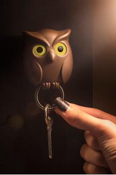 Брелок для ключей Night Owl