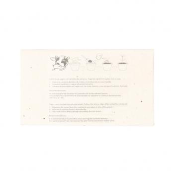 Набор цветных карандашей Seeds Fyser NTEU10-535671