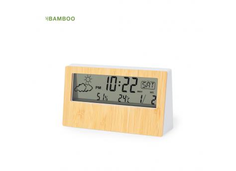 Метеостанция Roamer NTEU10-536449