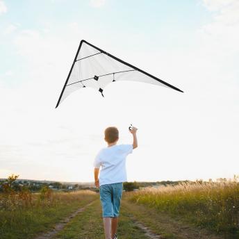 Воздушный змей Sagittarius NTEU10-586351