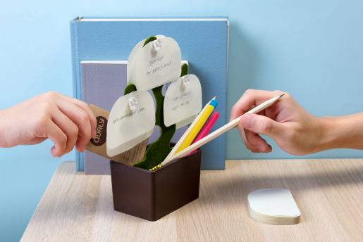 Органайзер настольный Bonsai