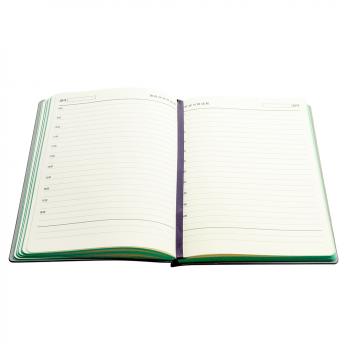 Ежедневник A5 недатированный Carisma в мягком переплёте, зеленый