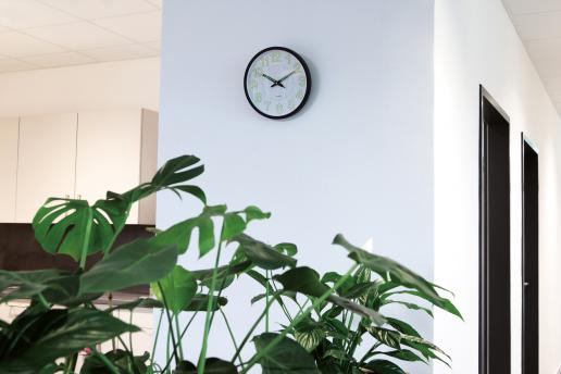 Настенные часы СОЛНЦЕ, черный, белый NTEU7-310057