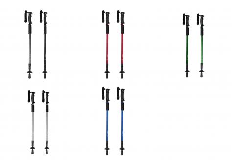 Набор палок для ходьбы Brulen NTEU10-242038
