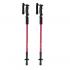 Набор палок для ходьбы Brulen NTEU10-242038