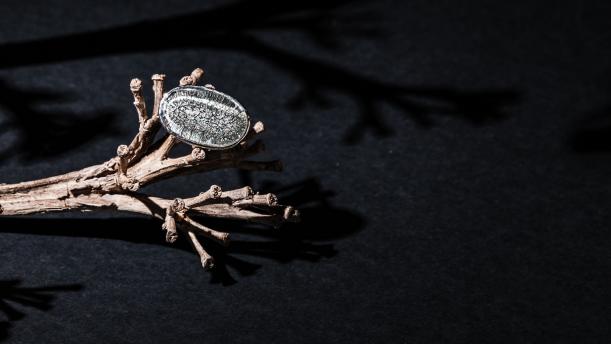 Регулируемое кольцо Hansok NTEU10-245090