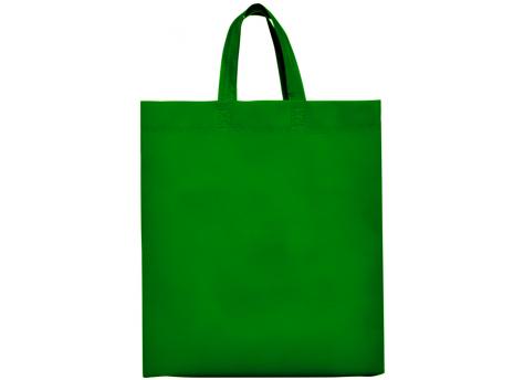LAKE Нетканая сумка 40X35X12 FERN GREEN NTEU38-518842