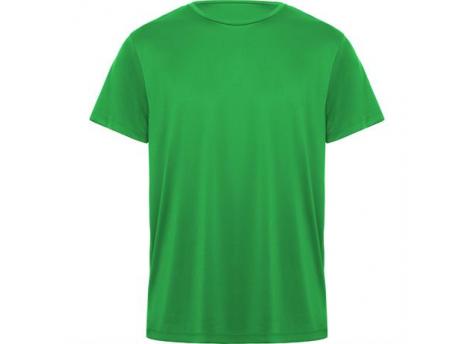 Спортивная футболка DAYTONA унисекс, ПАПАРОТНИКОВЫЙ XL