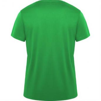 Спортивная футболка DAYTONA унисекс, ПАПАРОТНИКОВЫЙ XL