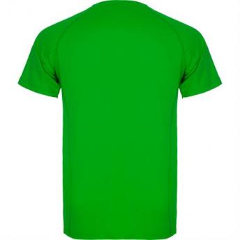 Спортивная футболка MONTECARLO мужская, ПАПАРОТНИКОВЫЙ L