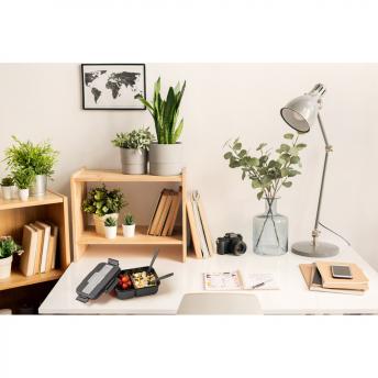 Ланч-бокс 1000 мл PYRUS NTEU20-238717