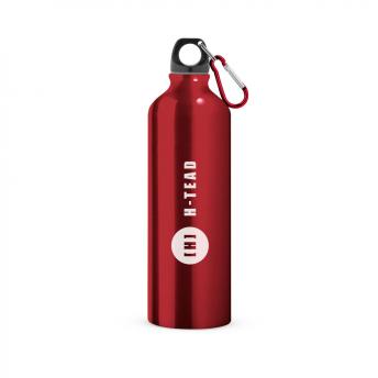 Алюминиевая спортивная бутылка с карабином 750 мл SIDEROT NTEU20-486714