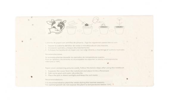 Набор карандашей NTEU5-567180