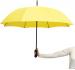 Автоматический ветроустойчивый зонт PASSAT, желтый NTEU7-537973
