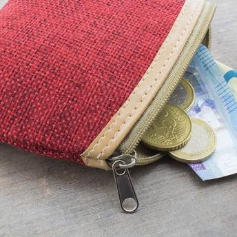 Кошелек "SANTA EULALIA" NTEU3-101450