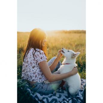 Фрисби для собак NTEU18-312036