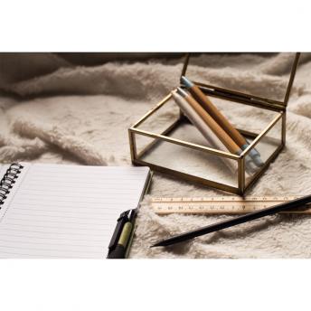 Набор карандашей и линейки Simple, бежевый NTEU18-57634