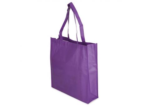 Ламинированная нетканая сумка "FERN" NTEU3-99808