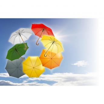 Автоматический зонт | Hayden NTEU2-432000