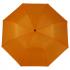 Ручной зонт, складной NTEU2-432065
