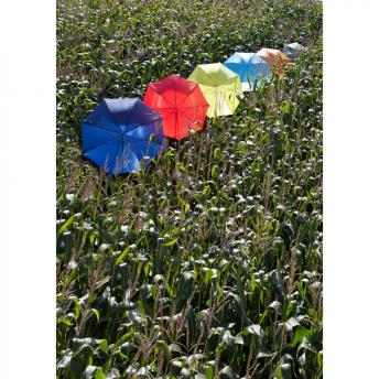 Автоматический зонт NTEU2-432027