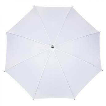 Автоматический зонт Dwight NTEU2-432076