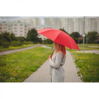 Автоматический зонт | Дуайт NTEU2-432083