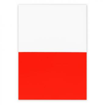 Офис. Электростатические самоклеящиеся заметки | Rolly NTEU2-586633