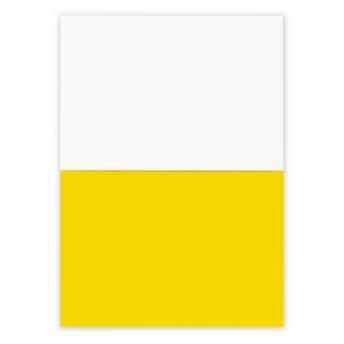 Офис. Электростатические самоклеящиеся заметки | Rolly NTEU2-586635