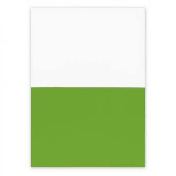 Офис. Электростатические самоклеящиеся заметки | Rolly NTEU2-586636