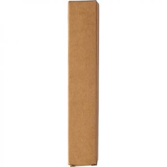 Ручка шариковая "Письменные произведения" NTEU2-569877