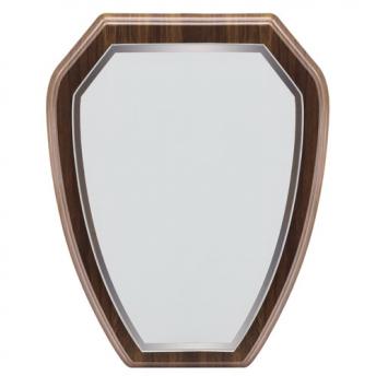 Трофей "RAFI" NTEU3-100337