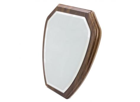 Трофей "RAFI" NTEU3-100337