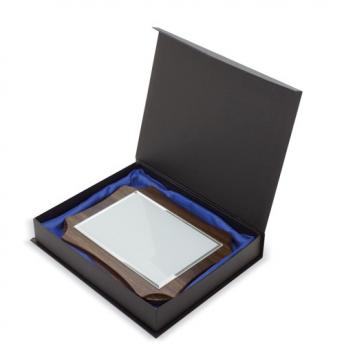 Трофей "RECTUS" NTEU3-100339