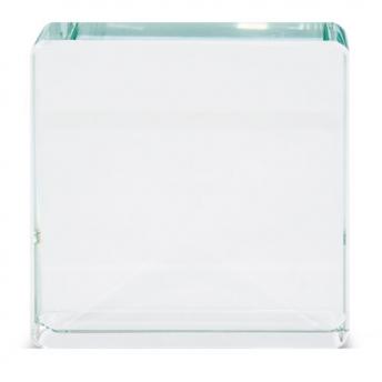 Трофей "BRONSON" NTEU3-100345