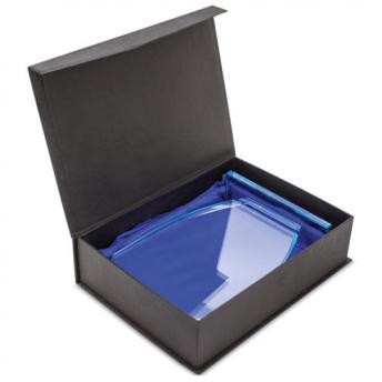 Стеклянный трофей NTEU3-97995