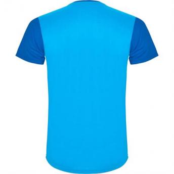 Спортивная футболка DETROIT мужская, КОРОЛЕВСКИЙ СИНИЙ 2XL