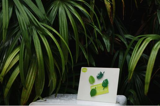 Набор магнитов Тропики