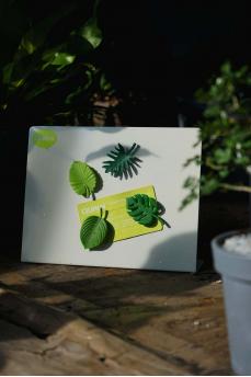 Набор магнитов Тропики