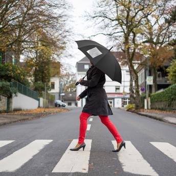 Зонт AC Regular FARE® View NTEU22-580342