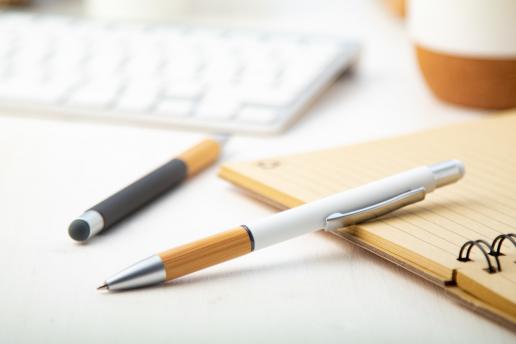 Шариковая ручка со стилусом NTEU5-166352