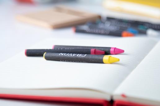 Набор из 12 мелков NTEU5-1242