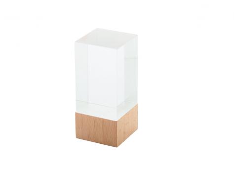 Трофей Polofi NTEU5-532323